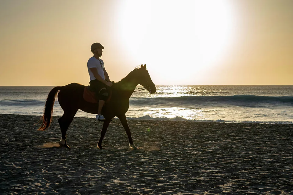 Un cavalier sur la plage au coucher du soleil